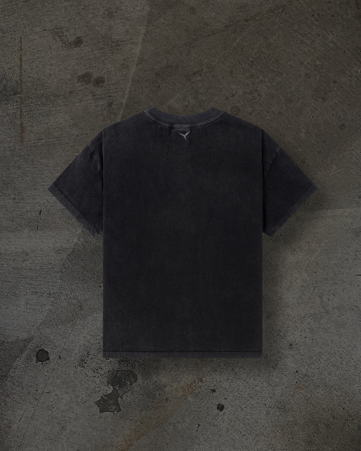 SCRIPTURE TEE (COAL)