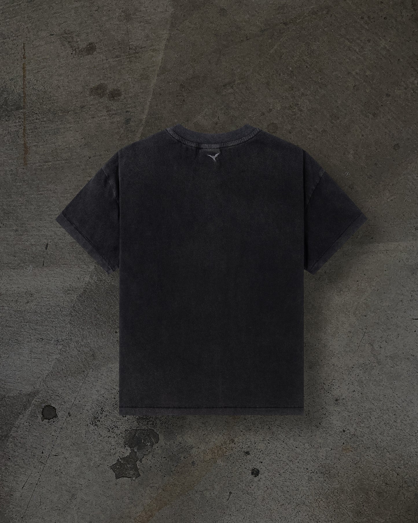 SCRIPTURE TEE (COAL)