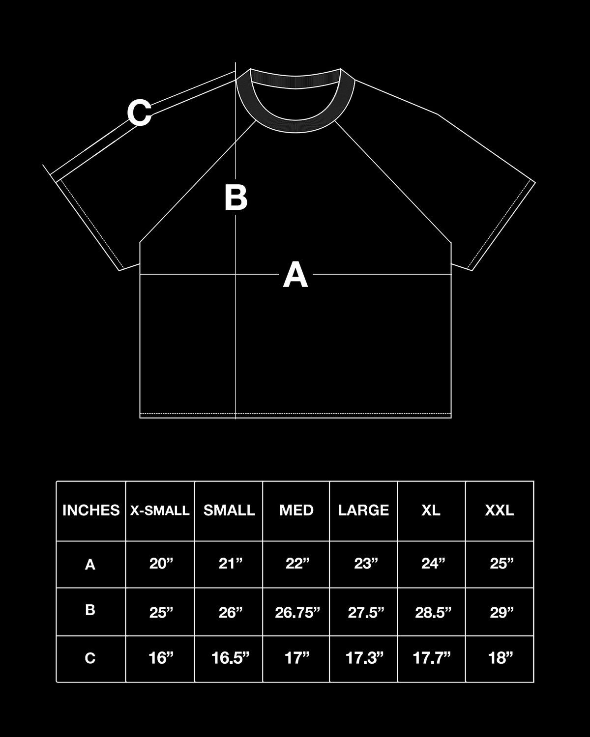 DEMONS TEE (ASH)