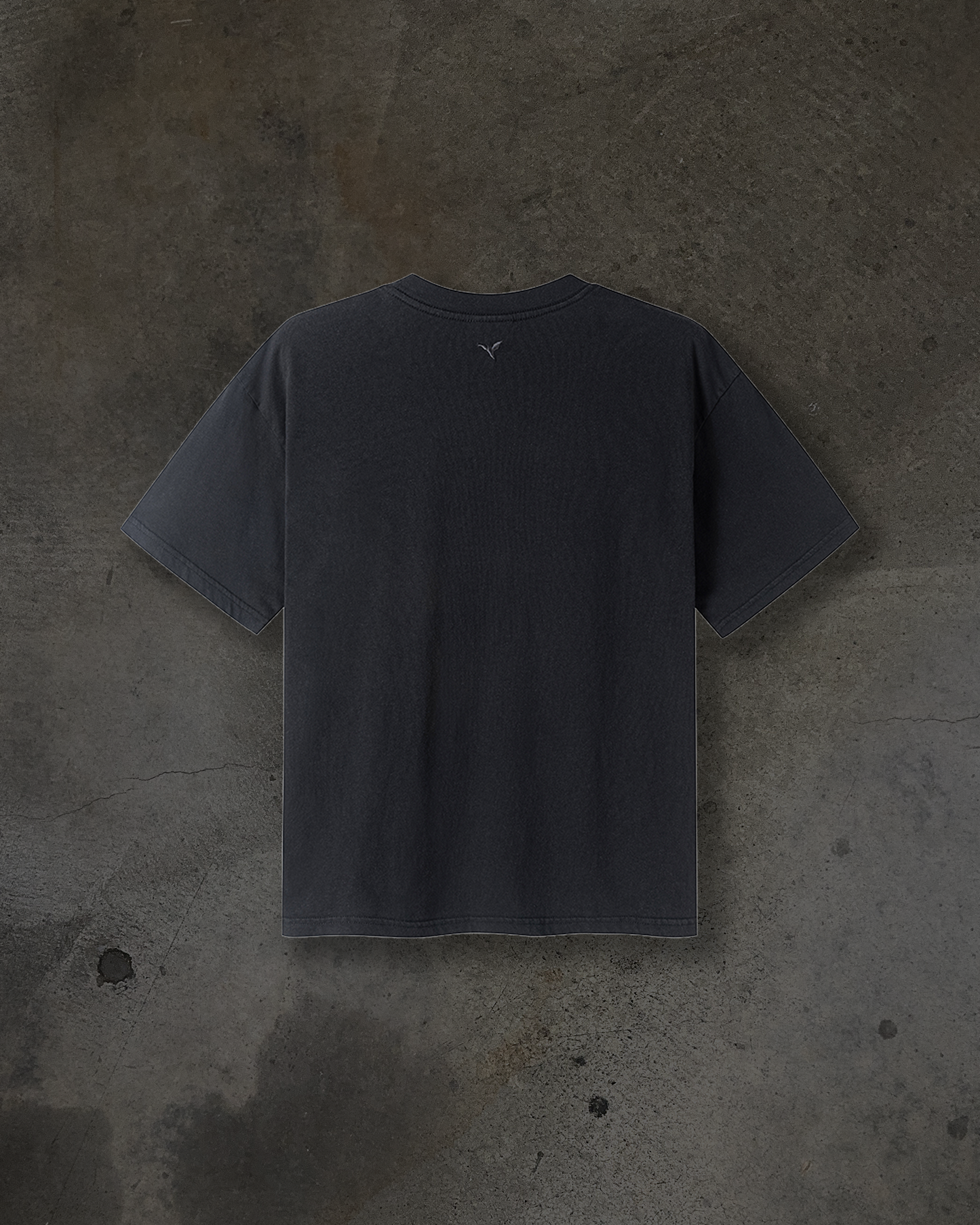 CAUTIONARY TEE (COAL)